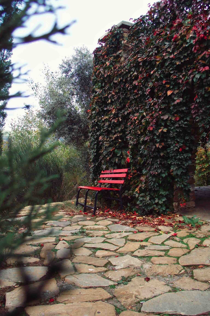 Autumn