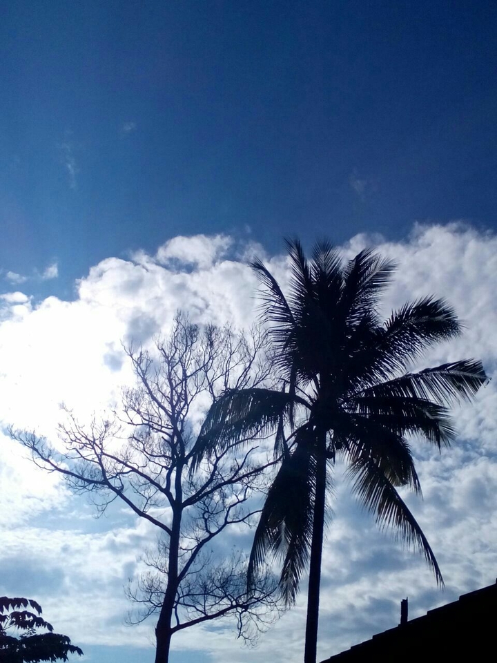 blue sky..