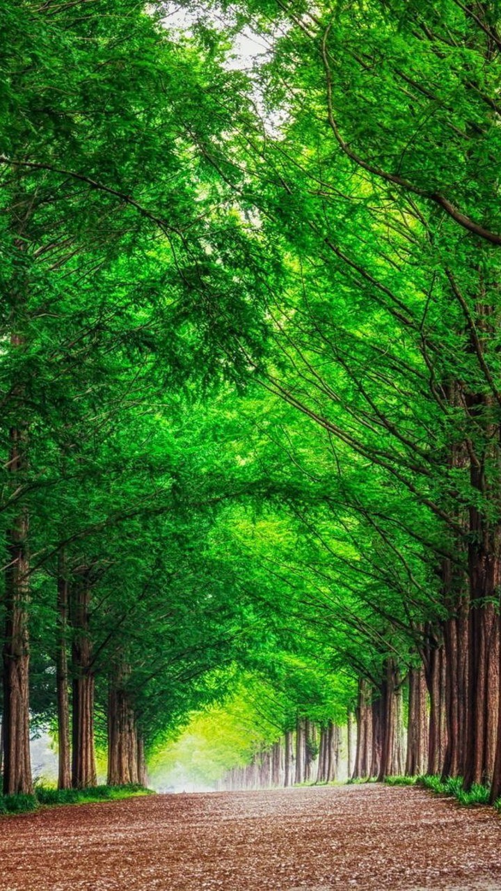 Natureza