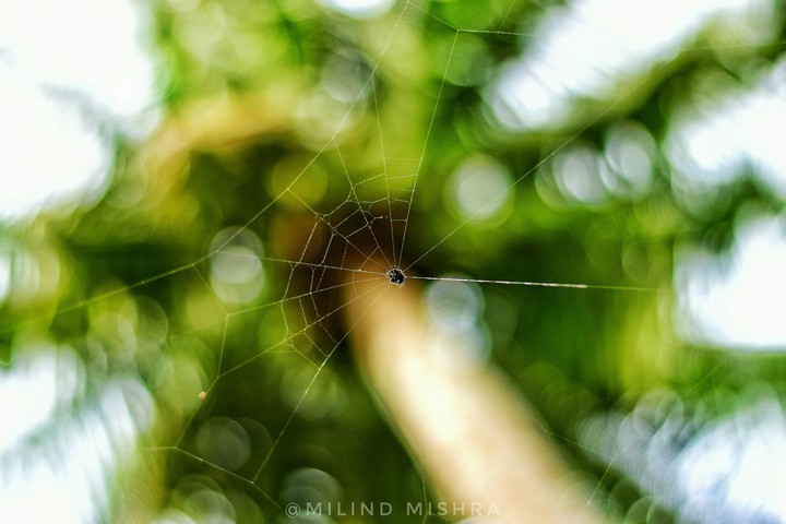 Hey spidey!!