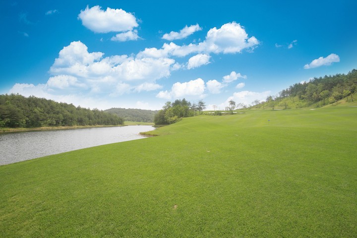 Golf Course
