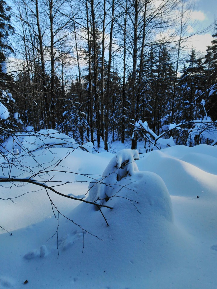 Snow Rock Dyke