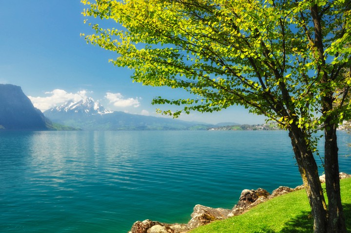 swiss