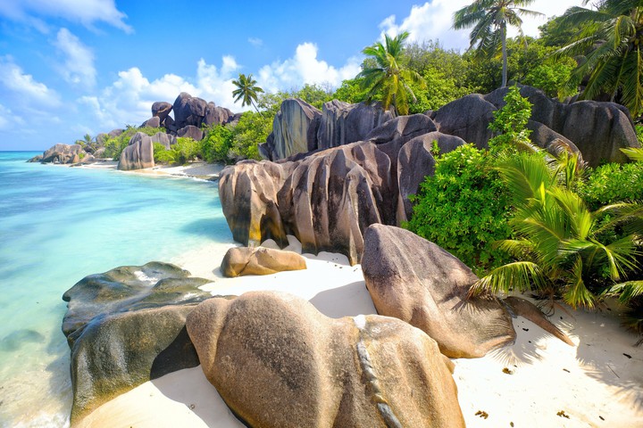 Enjoy Paradies