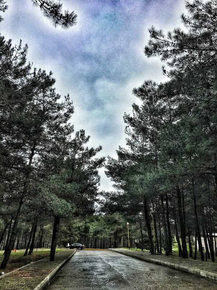 Long Thin Path..