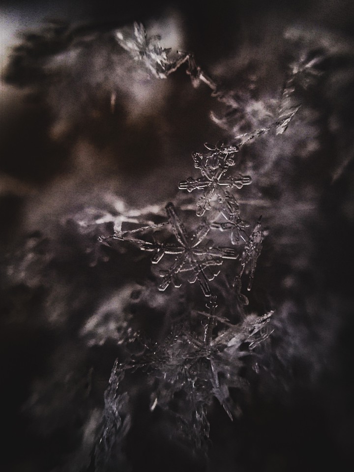 snow
