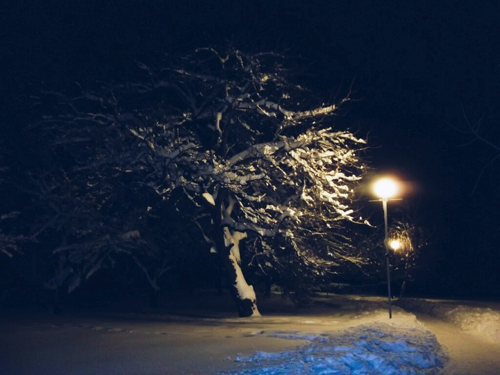 снег