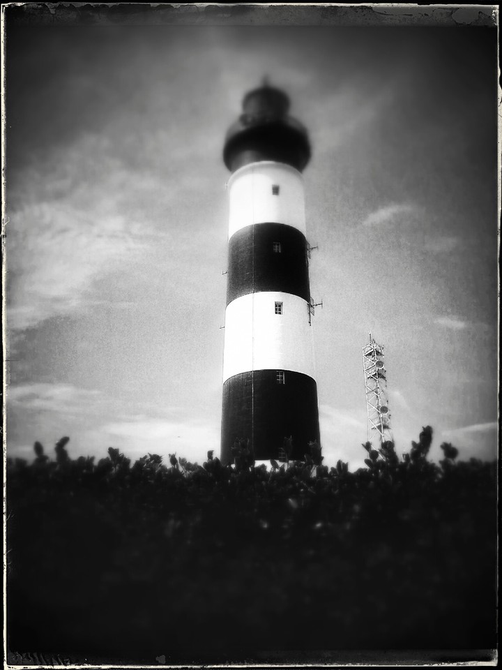 noir