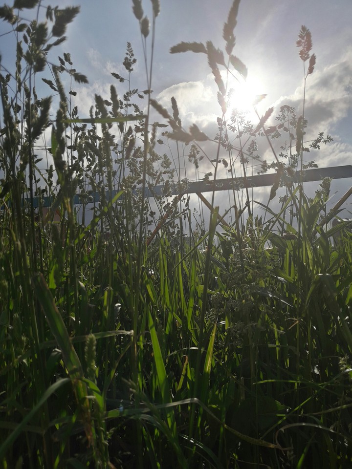 sunny day and happy 