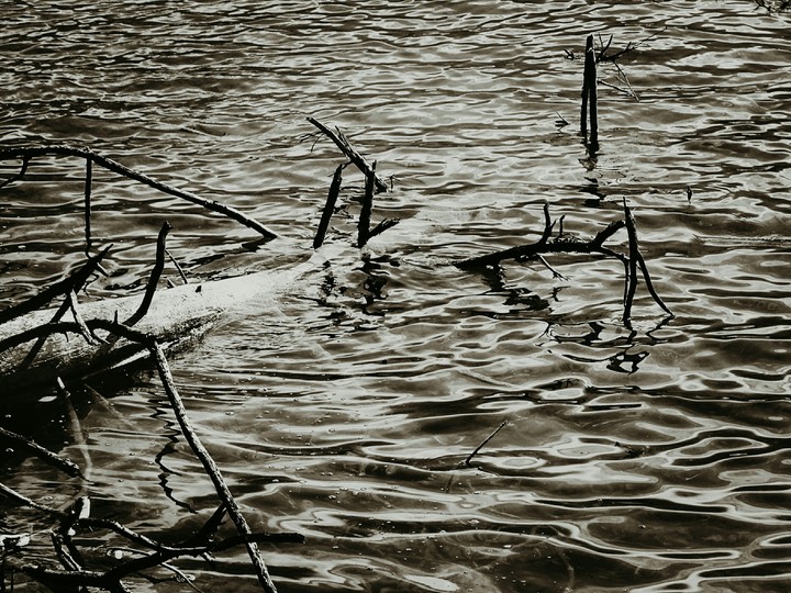 Stille
