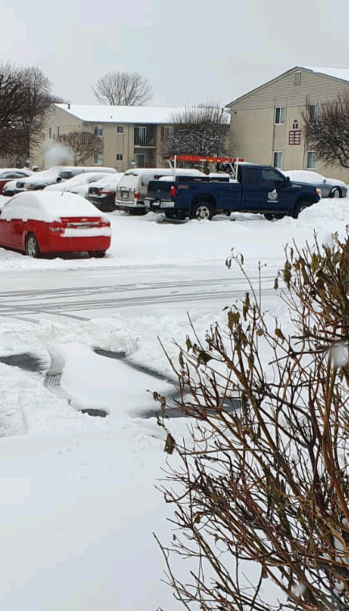 Snow Wrapped
