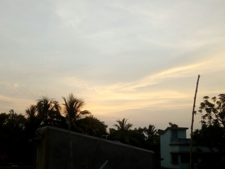 #villageview