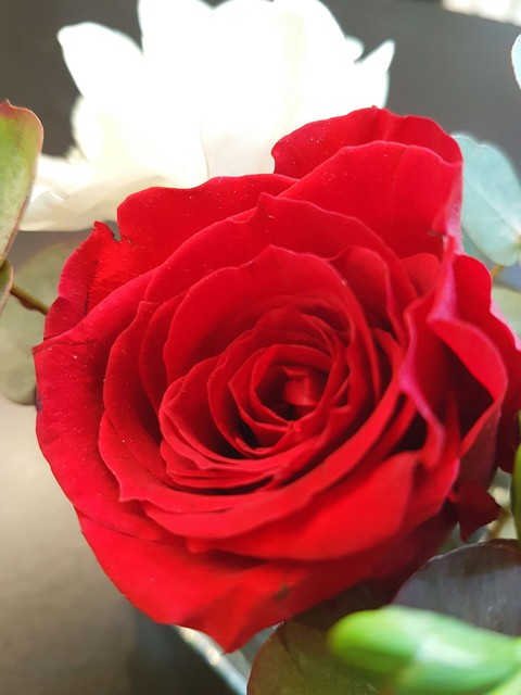 red
