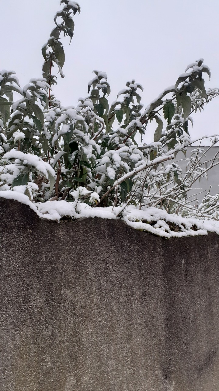 l'hiver