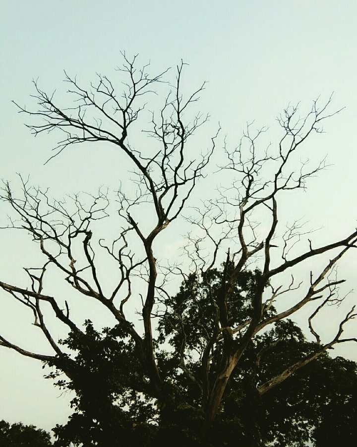 ছন্নছাড়া