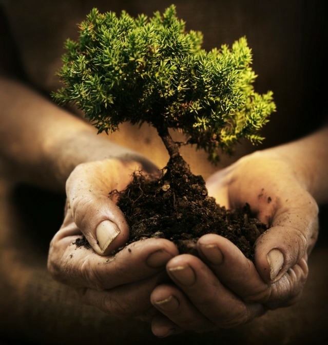Save nature