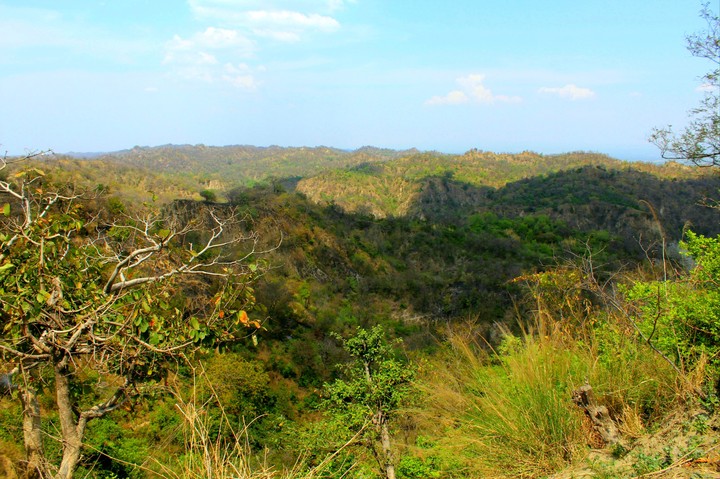 canon1200d