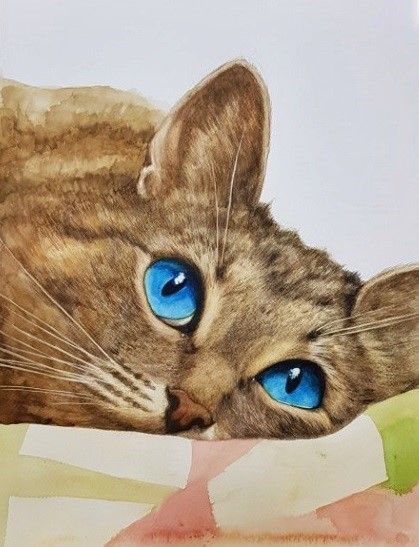 Blue eye cat
