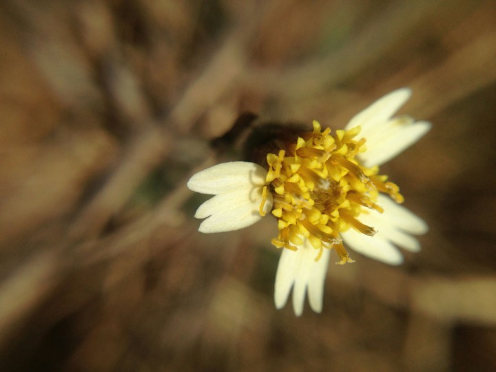 a beautiful Nature.