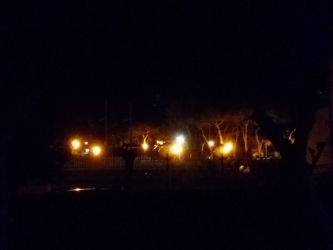 night