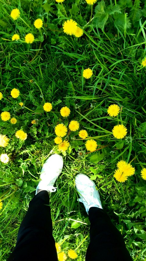 ταπετσαρίες habitat, lawn