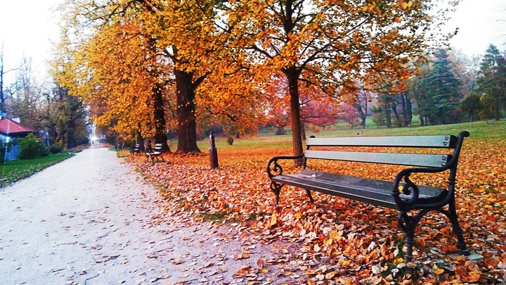 autumn