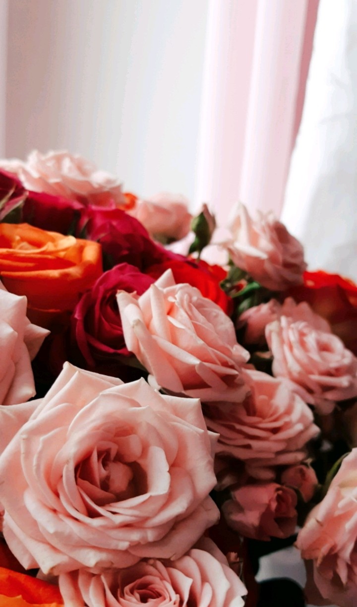 tender bouquet