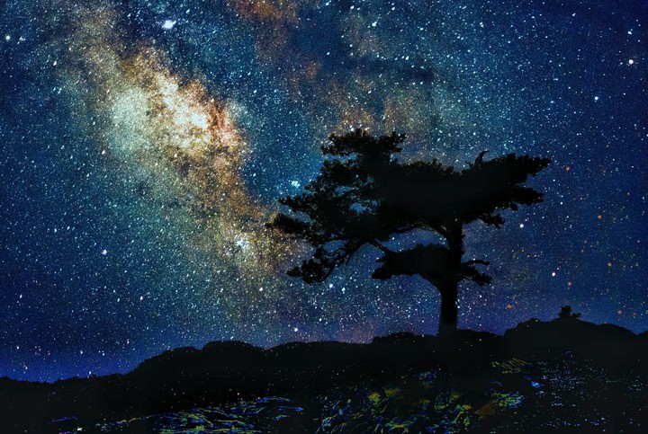 Tree of Life