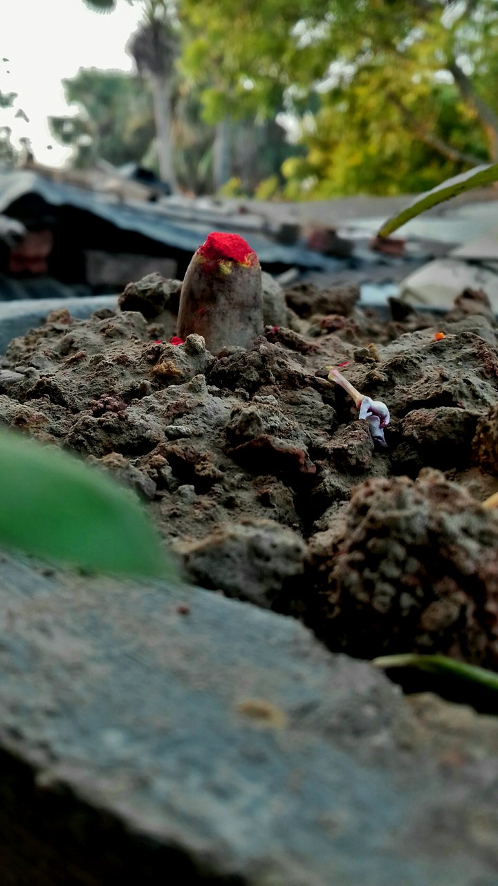small 'shiv jee'