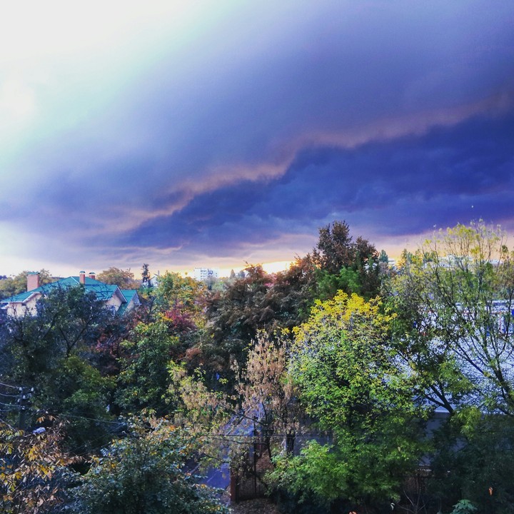 Autumn miracle