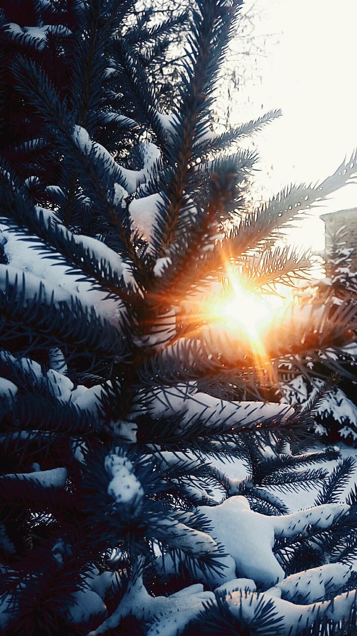 There is a sun in the winter