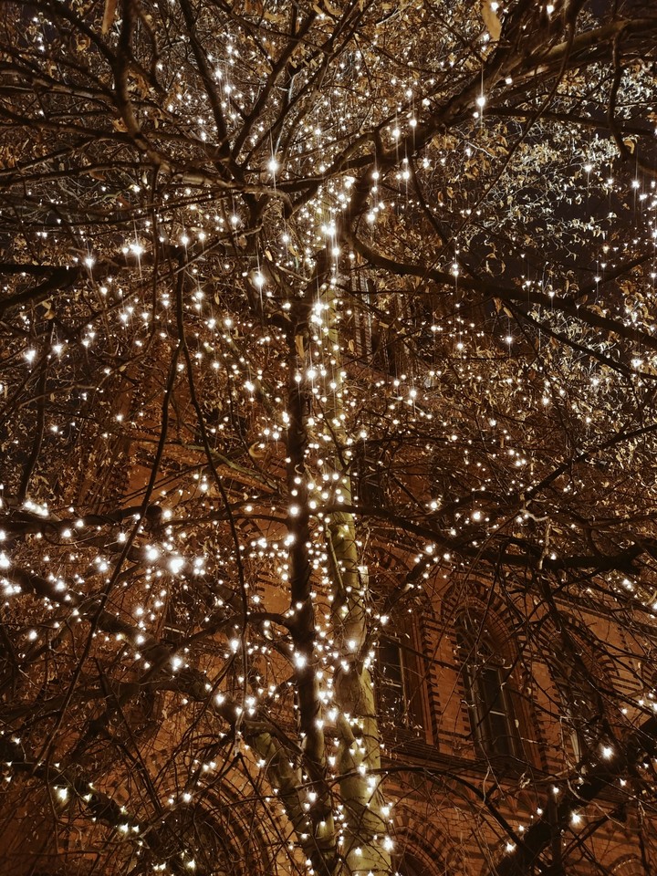 city ​​at night3