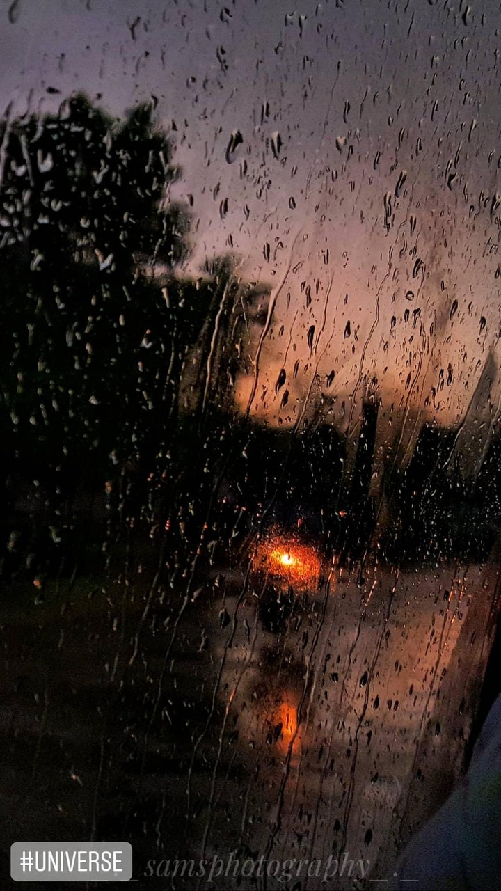 Rain