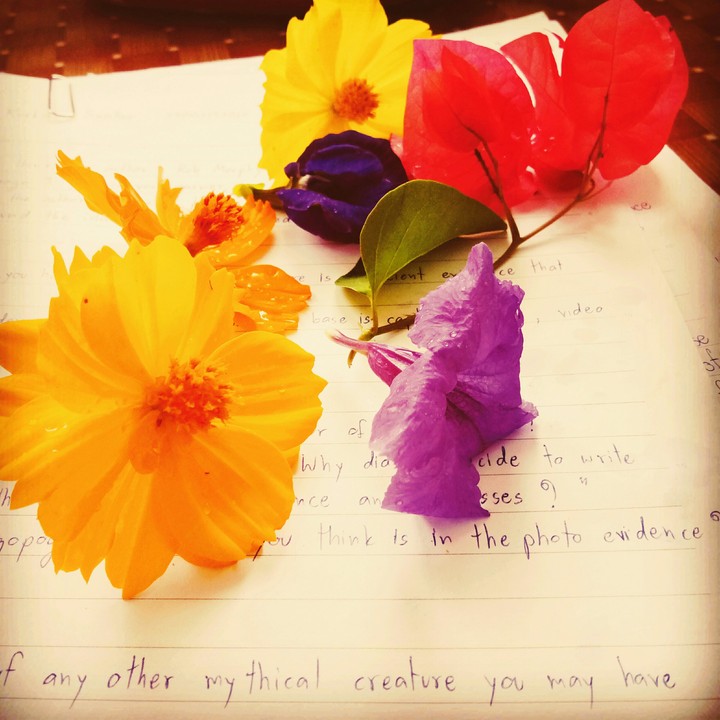flowers