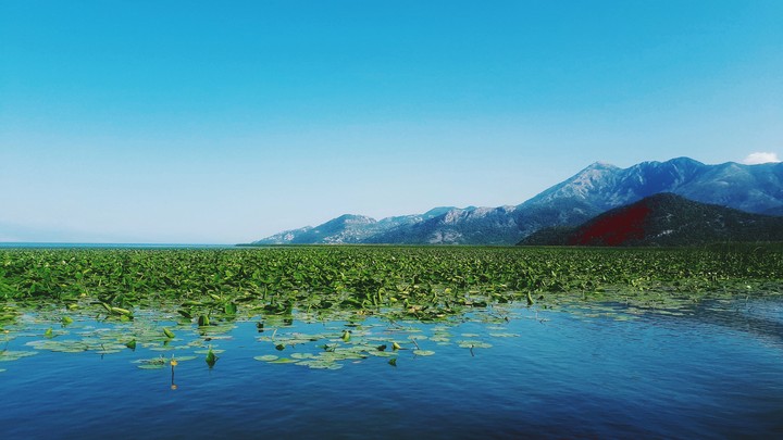 Lake Szkoderskie
