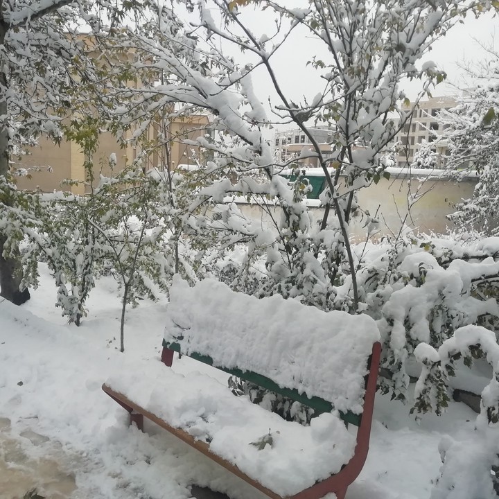 iran