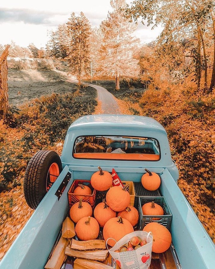 осень