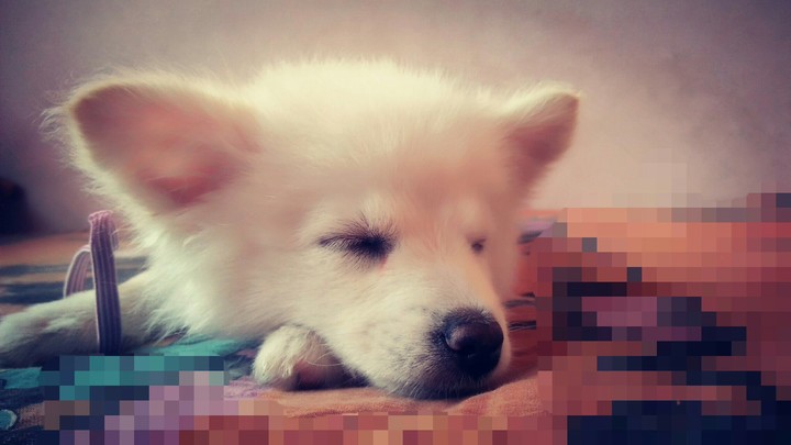 My sleeping 