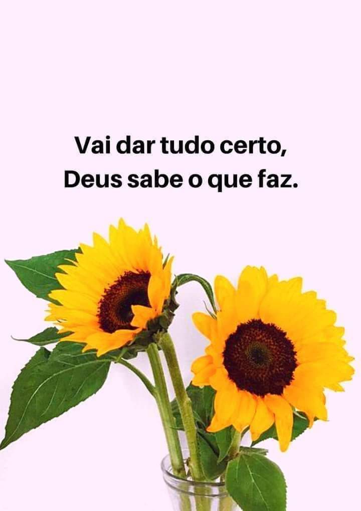 Aos meus queridos amigos do coração bjs.