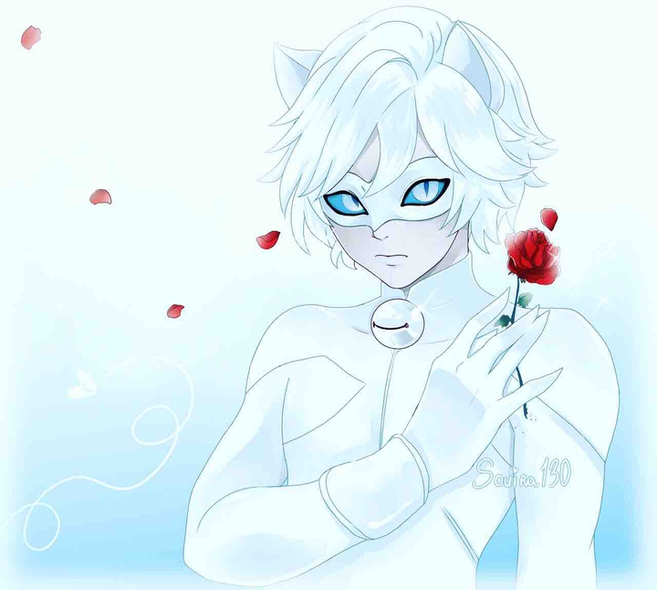 white cat