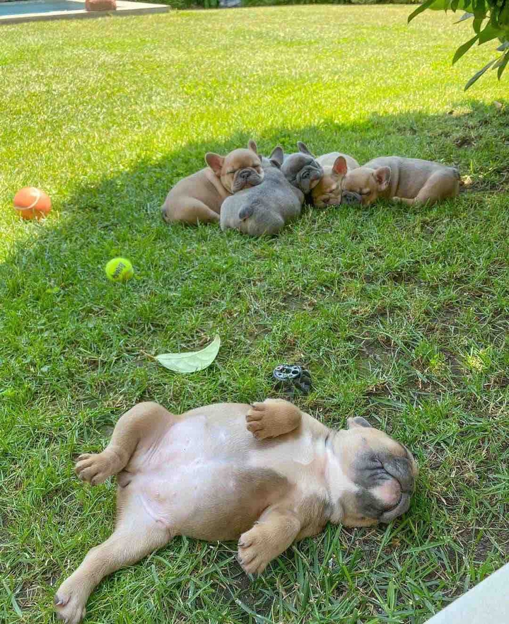 relax