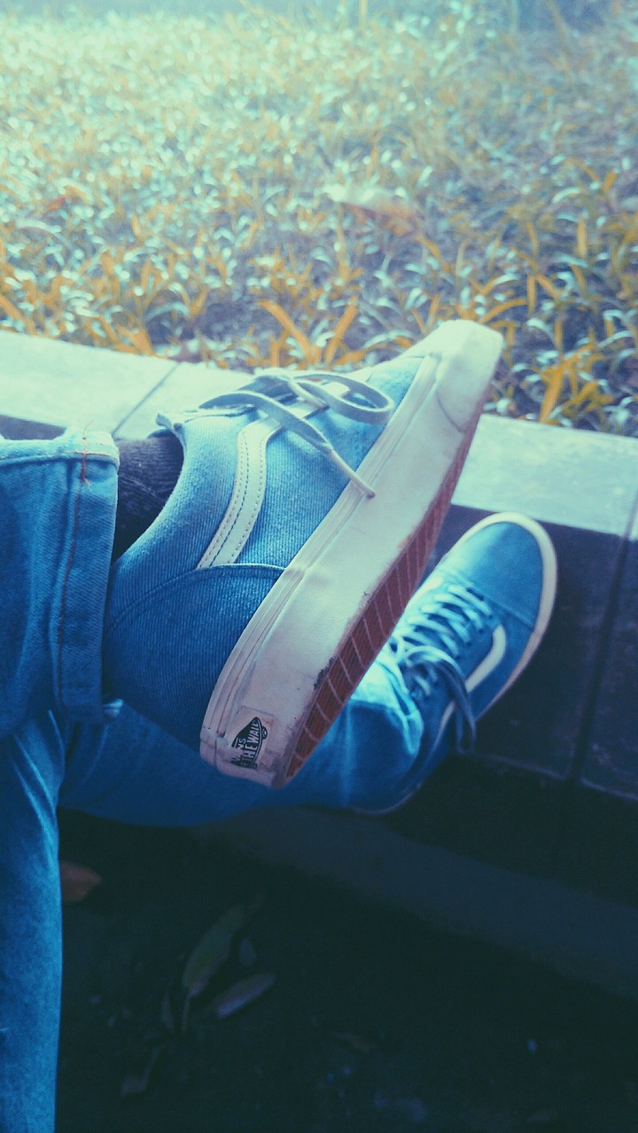 vans oldskool overwashed