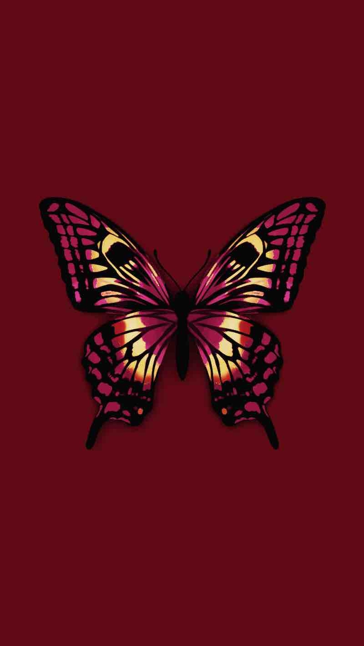 Red butterfly