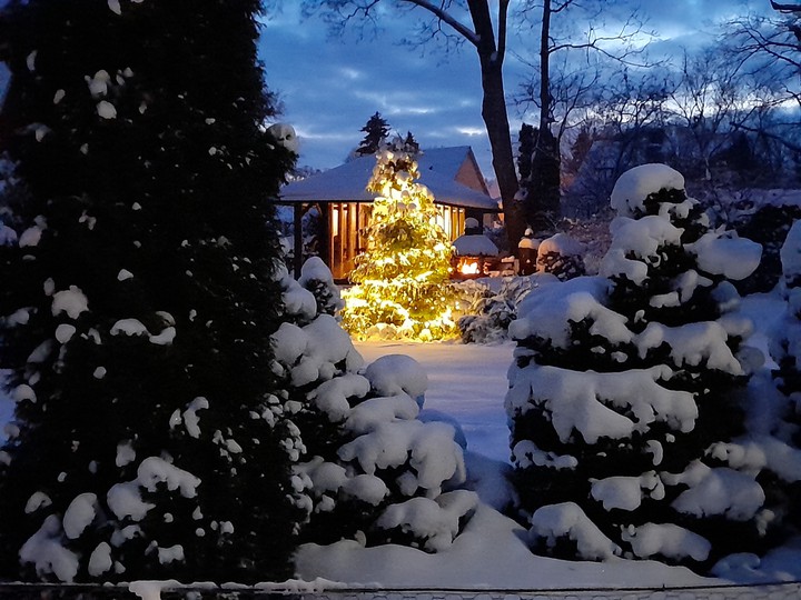 The Winter's Tale