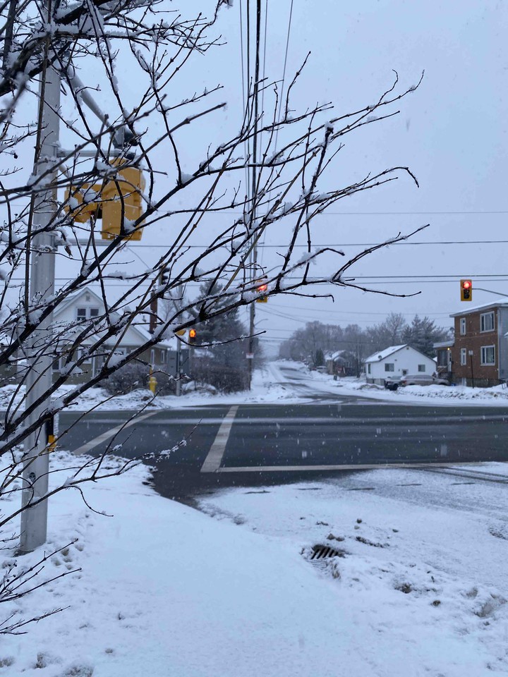 Snowy Morning