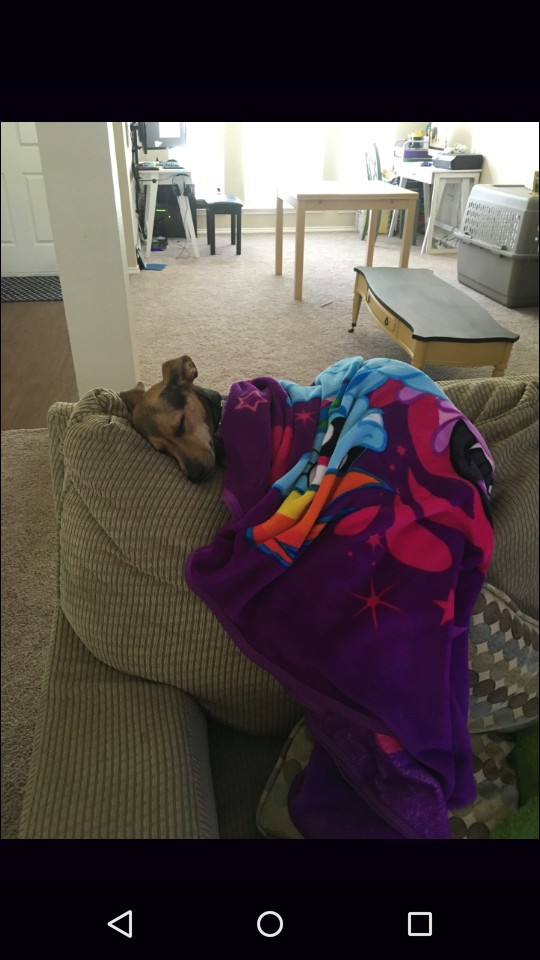 Izzy is spoiled