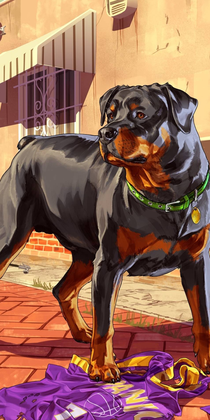dog