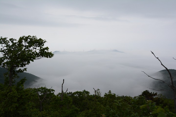 함백산이미지