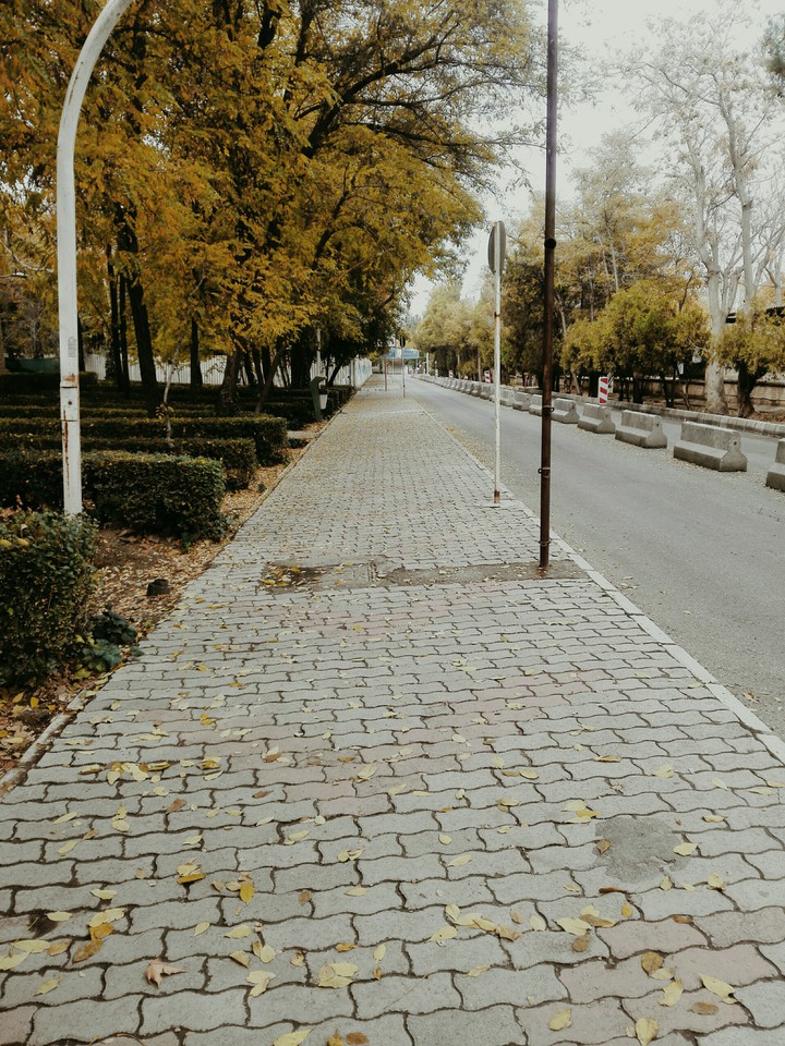 Autumn