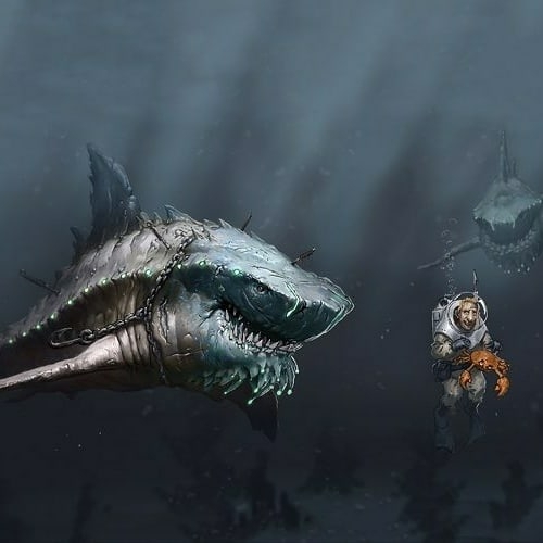 sharkkkkk